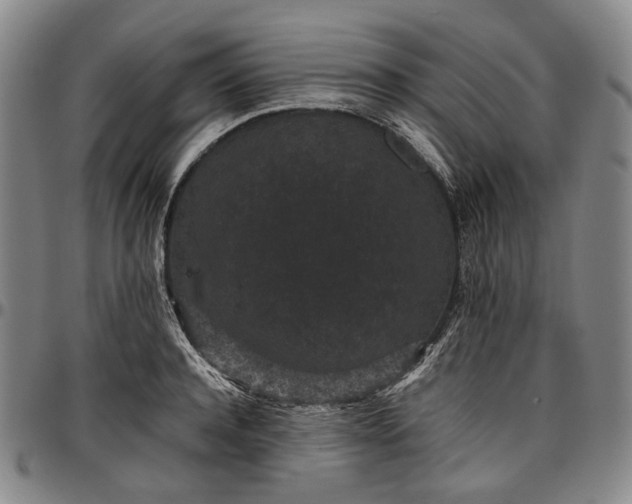 X0000096650944200802191239