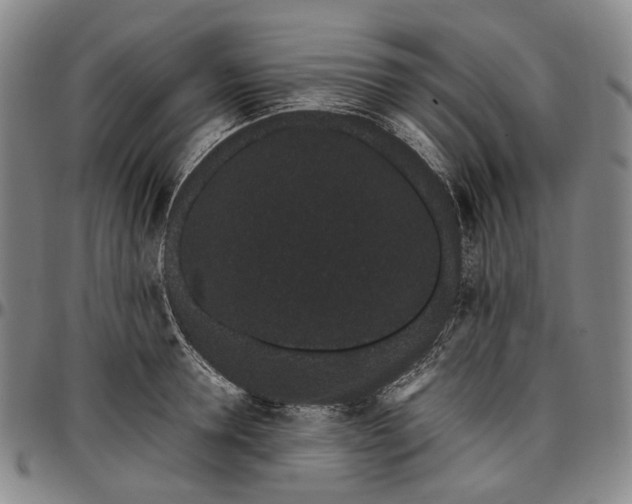 X0000096650946200802191239