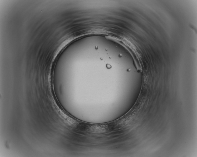 X0000096650947200802191239