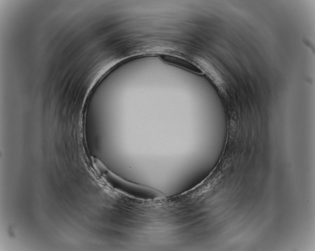 X0000096650948200802191239
