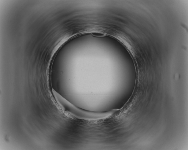 X0000096650949200802191239