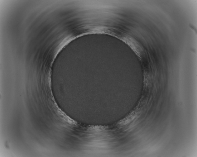 X0000096650950200802191239