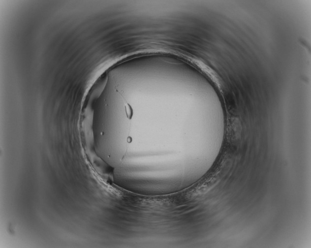 X0000096650951200802191239