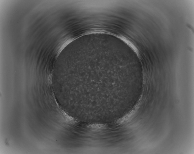 X0000096650953200802191239