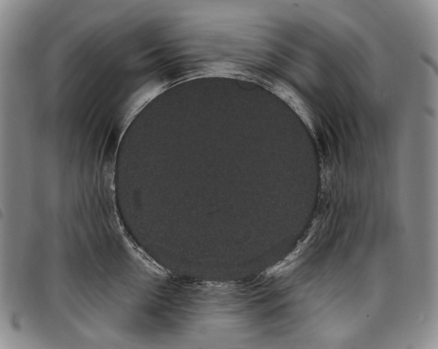 X0000096650954200802191240