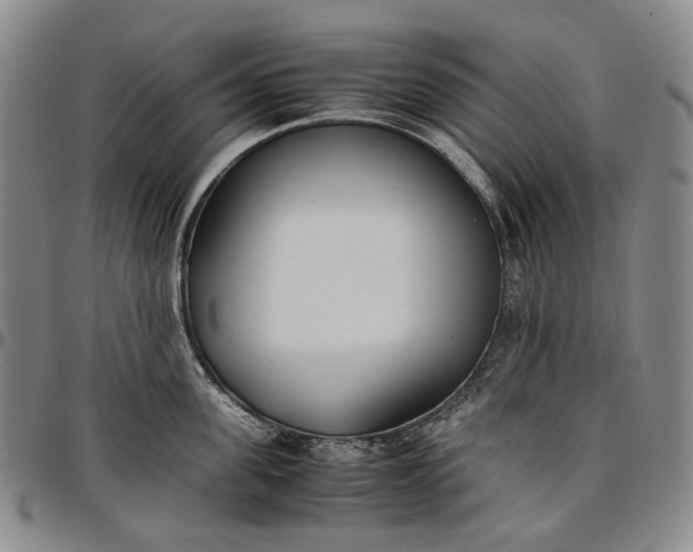 X0000096650955200802191240