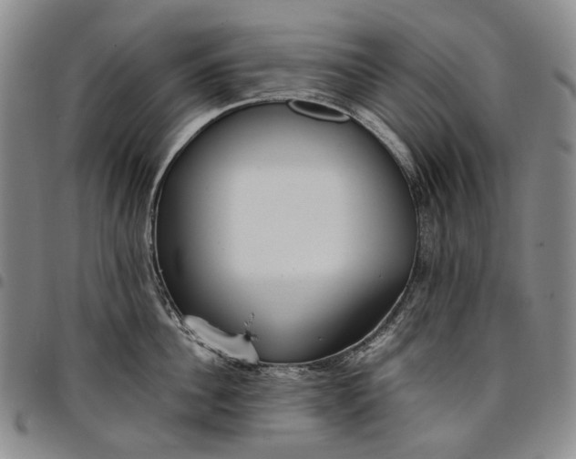 X0000096650956200802191240