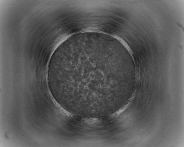 X0000096650957200802191240