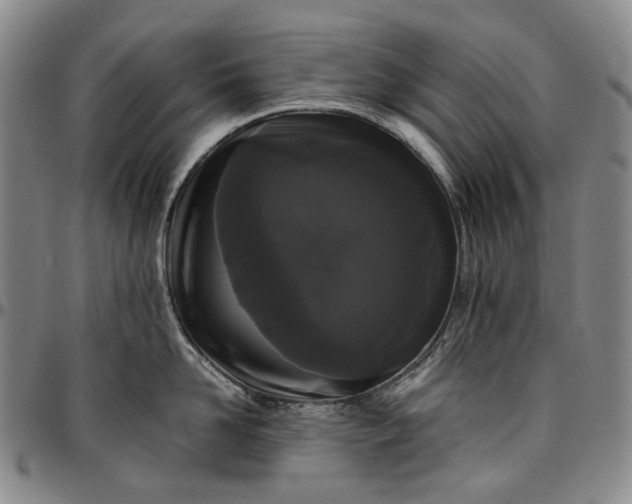 X0000096650958200802191240