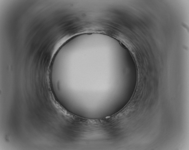 X0000096650960200802191240