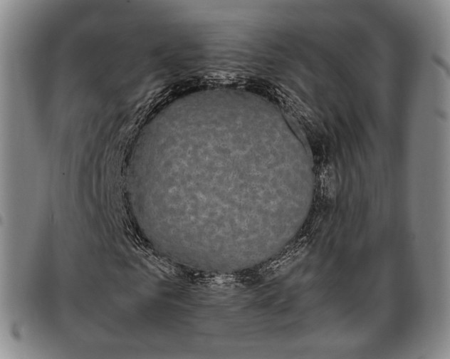 X0000096650961200802191239