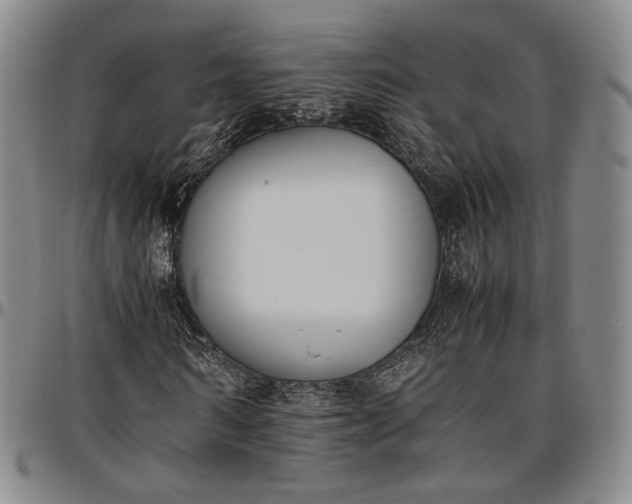X0000096650962200802191239