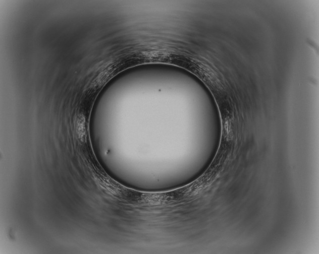 X0000096650963200802191239