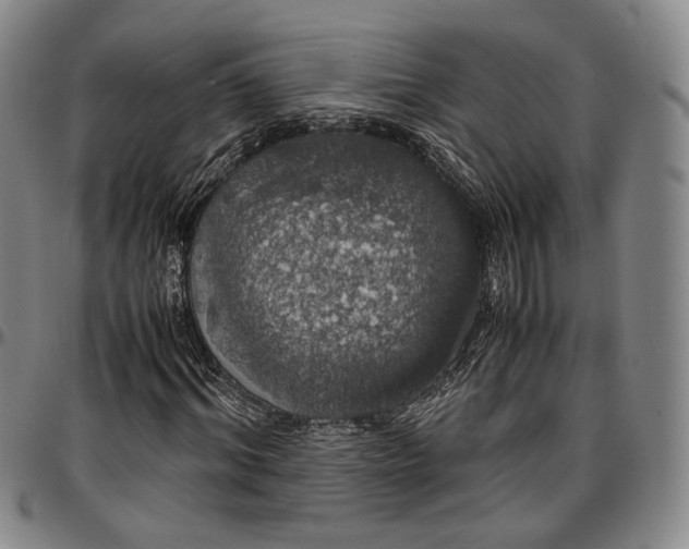 X0000096650964200802191239