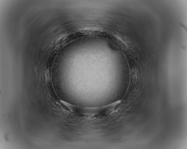 X0000096650965200802191239