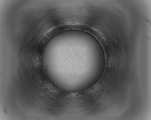 X0000096650966200802191239