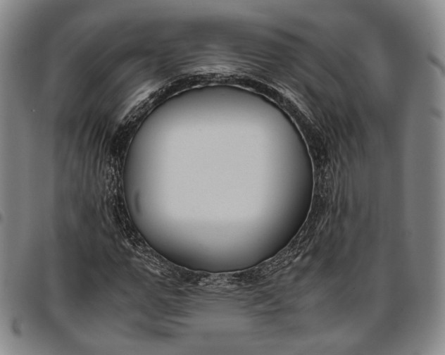 X0000096650967200802191239
