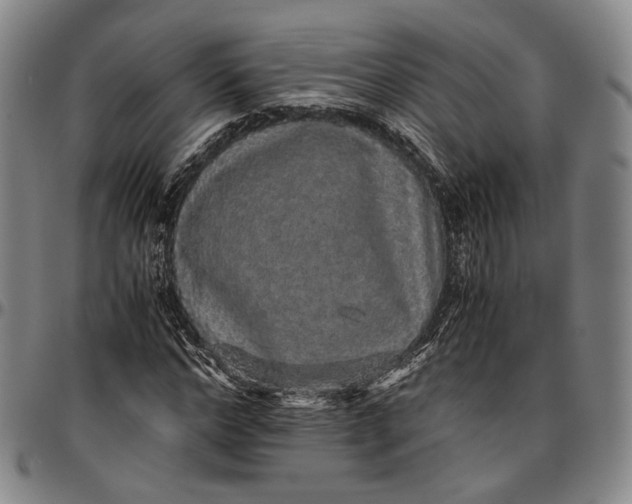 X0000096650968200802191238