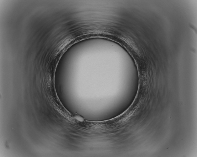X0000096650969200802191238