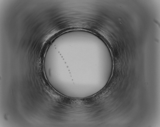 X0000096650971200802191238
