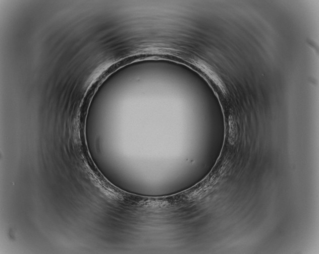 X0000096650972200802191238