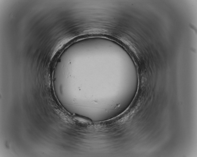 X0000096650973200802191238