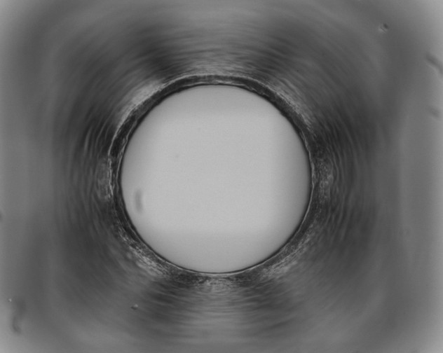 X0000096650974200802191238