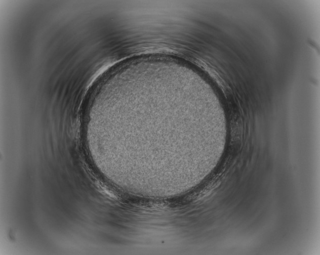 X0000096650975200802191238
