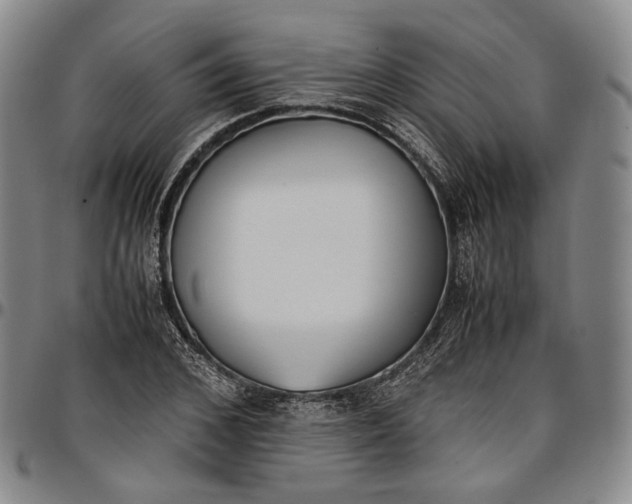 X0000096650976200802191238