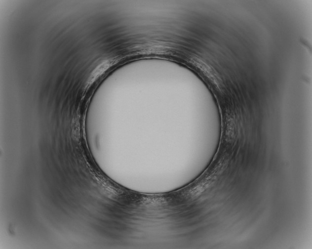 X0000096650978200802191238
