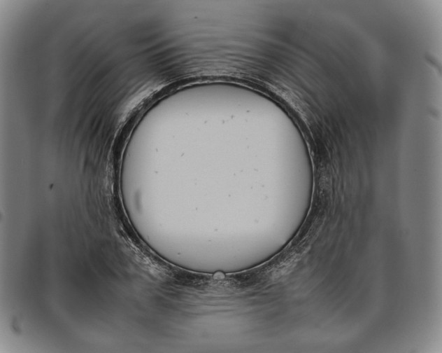 X0000096650979200802191238
