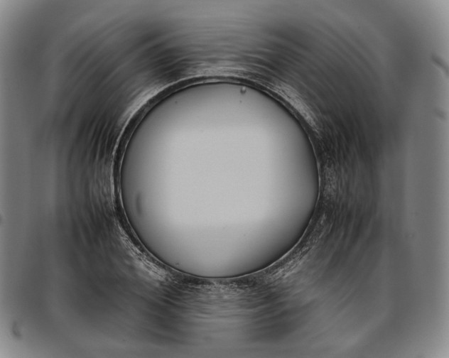 X0000096650980200802191238