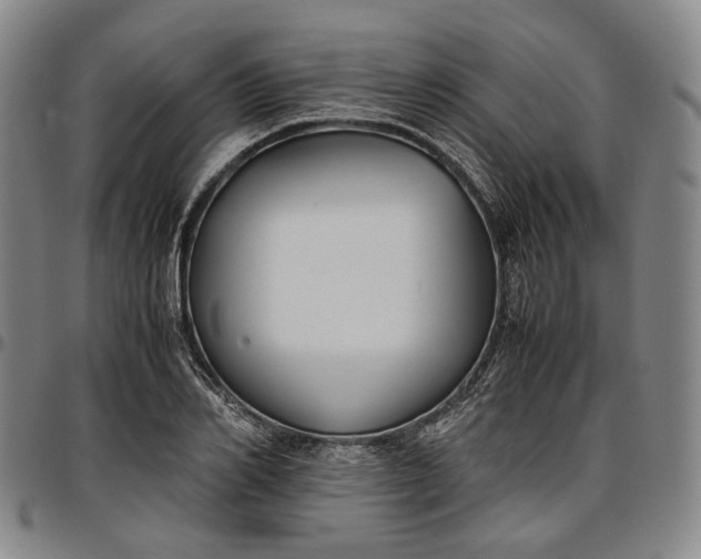 X0000096650982200802191238