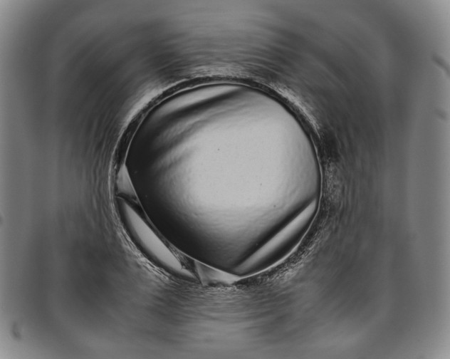 X0000096650983200802191238