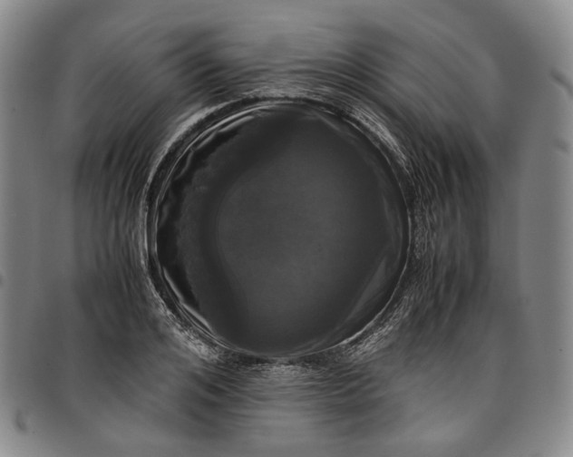 X0000096650984200802191238