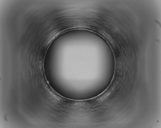 X0000096650985200802191238