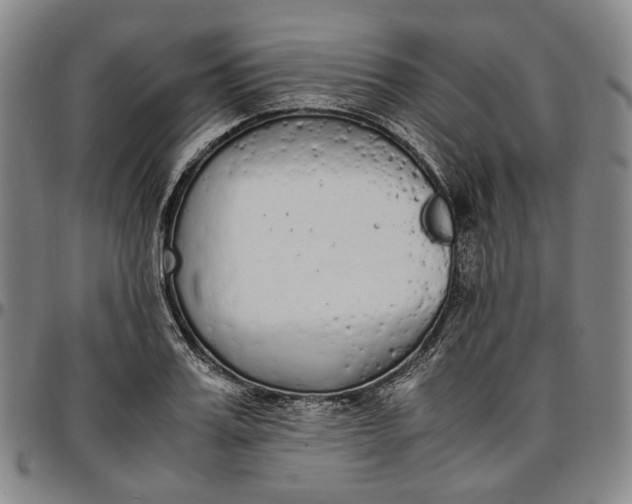 X0000096650987200802191238