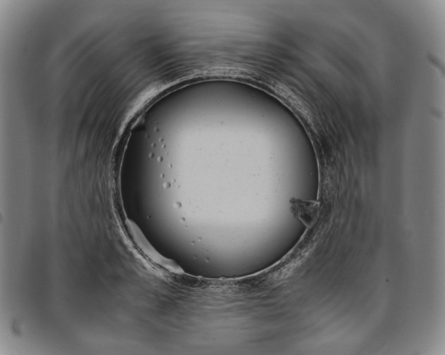 X0000096650989200802191238