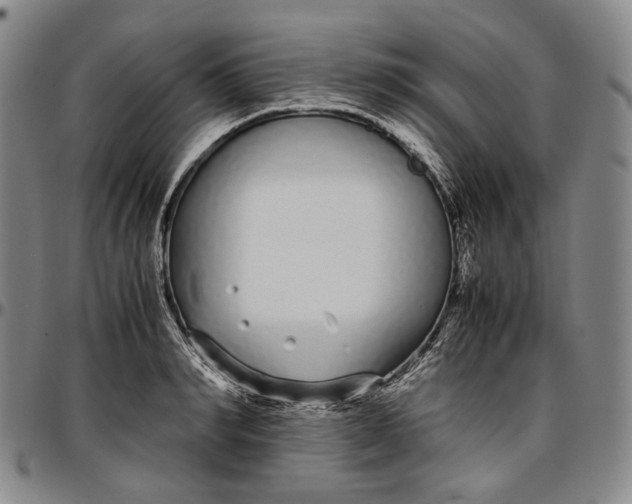 X0000096650990200802191238