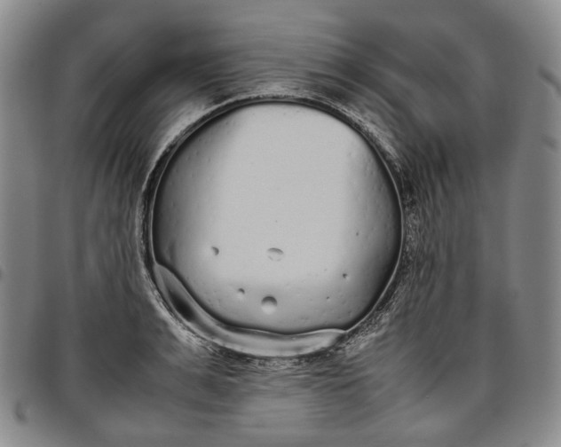 X0000096650991200802191238