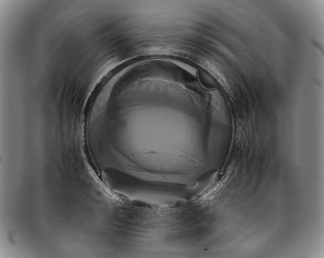 X0000096650992200802191238