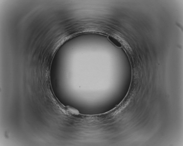 X0000096650993200802191238
