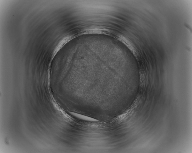 X0000096650994200802191238