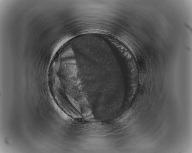 X0000096650995200802191238