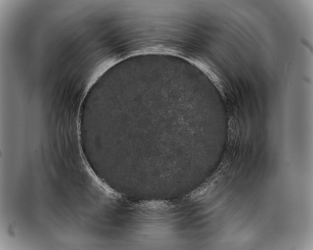X0000096650998200802191238