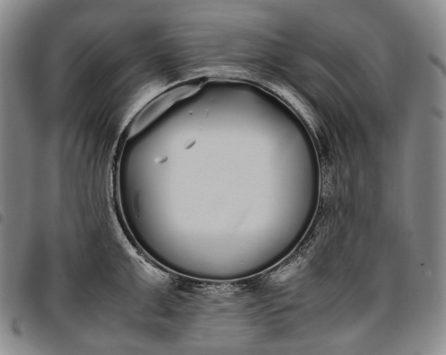X0000096650999200802191238