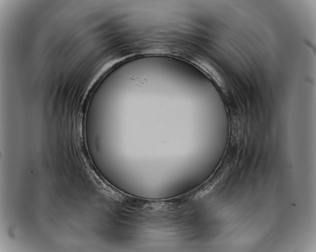 X0000096651000200802191238