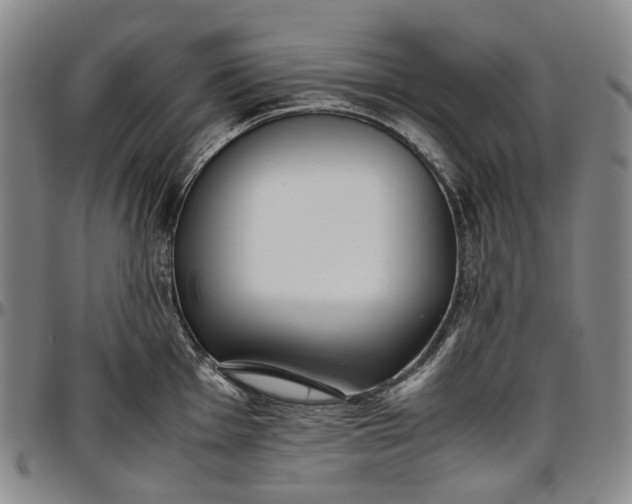 X0000096651001200802191238