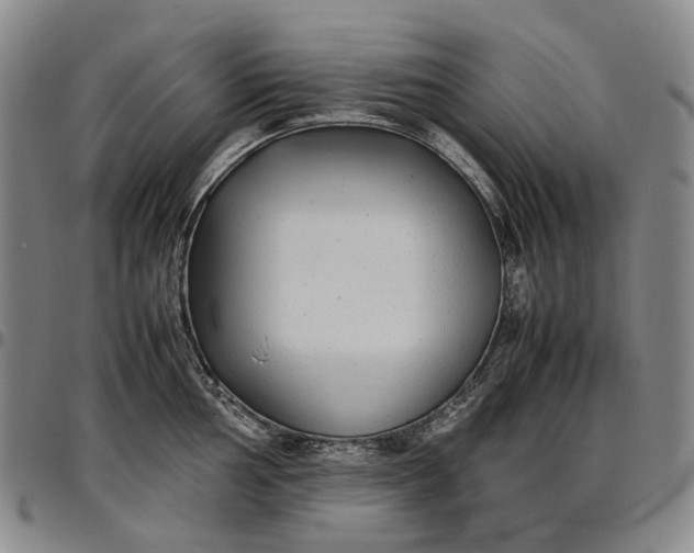 X0000096651002200802191238
