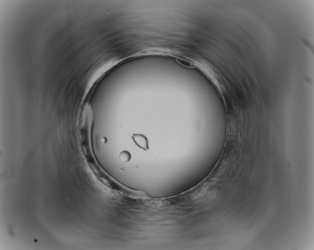 X0000096651003200802191238